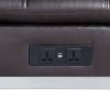 LUXURY BROWN CHAISE LOUNGE WITH USB PORT & PILLOW