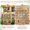 Stunning 6.2 FT Tall Garden Arbor with Pergola & Cozy 2-Seat Bench – Perfect for Lawn & Backyard Decor