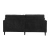 COOLMORE Mid Century Modern chenille Fabric Loveseat sofa, 2-Seat Upholstered Loveseat Sofa Modern Couch for Living Room